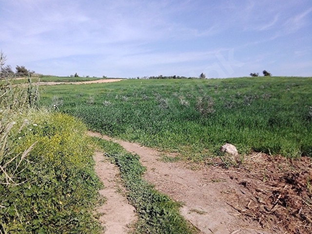 SAHİBİNDEN BURUK İSTİKLAL satılık.                      arsa.   455  m² - Görsel 13