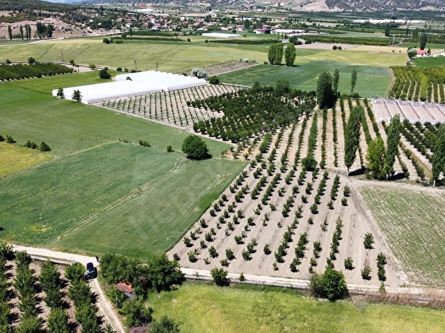 ELMALI TAVULLAR MAHALLESİN DE 3.300M2 AYVA BAHÇESİ SONDAJLI - Görsel 18
