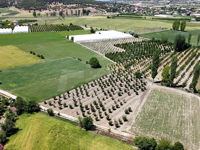 ELMALI TAVULLAR MAHALLESİN DE 3.300M2 AYVA BAHÇESİ SONDAJLI - Görsel 17