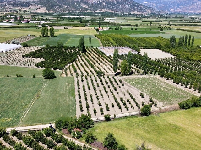 ELMALI TAVULLAR MAHALLESİN DE 3.300M2 AYVA BAHÇESİ SONDAJLI - Görsel 14