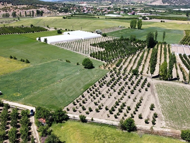 ELMALI TAVULLAR MAHALLESİN DE 3.300M2 AYVA BAHÇESİ SONDAJLI - Görsel 12