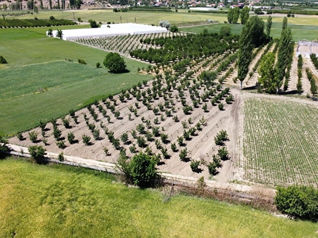 ELMALI TAVULLAR MAHALLESİN DE 3.300M2 AYVA BAHÇESİ SONDAJLI - Görsel 25