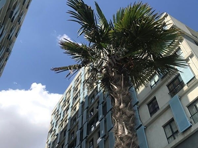 TERRACE MİX FULL EŞYALI KİRACILI 42 m2 1+0 SATILIK STUDİO - Görsel 7
