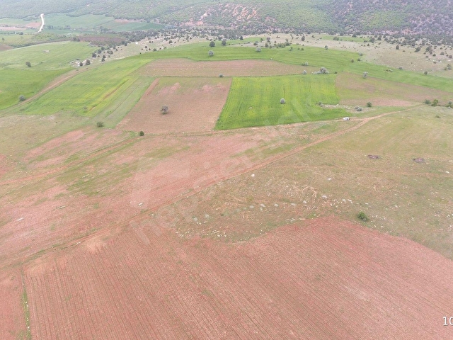 KONYA / DERBENT / SARAYPINAR MAHALLESİNDE 10.689 m² MÜSTAKİL TAPULU TARLA - Görsel 9