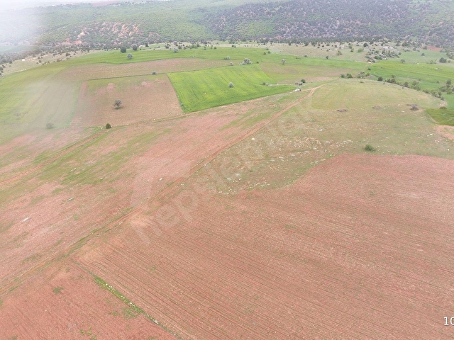 KONYA / DERBENT / SARAYPINAR MAHALLESİNDE 10.689 m² MÜSTAKİL TAPULU TARLA - Görsel 12
