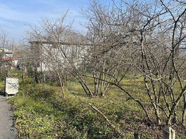 ARAÇ TAKASI OLUR FERİZLİ GÖLKENTTE SATILIK İMARLI ARSA - Görsel 3