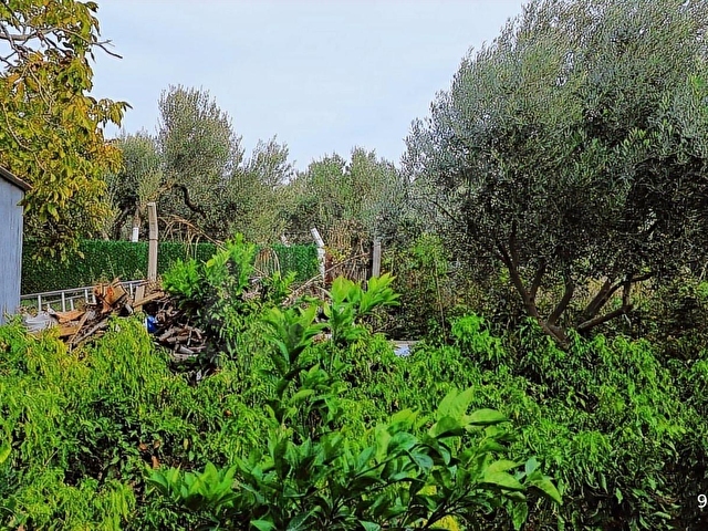 KEMALPAŞA AŞAĞI KIZILCA ANA YOLA YAKIN 1586M2 BAHÇE - Görsel 20