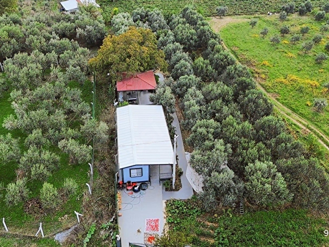 KEMALPAŞA AŞAĞI KIZILCA ANA YOLA YAKIN 1586M2 BAHÇE - Görsel 29