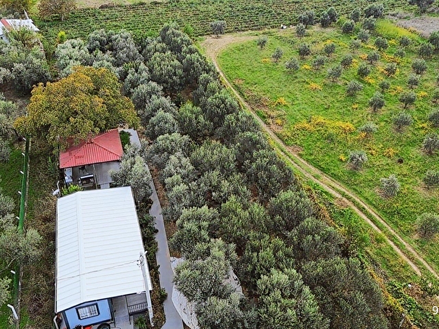 KEMALPAŞA AŞAĞI KIZILCA ANA YOLA YAKIN 1586M2 BAHÇE - Görsel 30