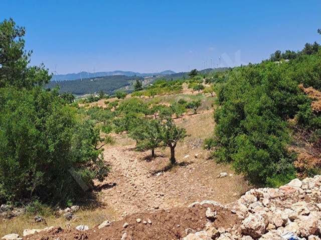 Valoradan Kemalpaşa Damlacıkta 720 m2 Satılık Arsa - Görsel 13