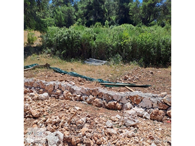 Valoradan Kemalpaşa Damlacıkta 720 m2 Satılık Arsa - Görsel 9