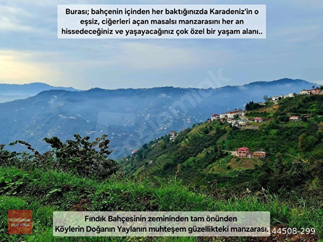 Trabzon Vakfıkebir DenizYakın 3Kat %25İmar ResmiYol Köyİçi Elk+Su 1544m2 Manzara ÇokUygun Açıklamada