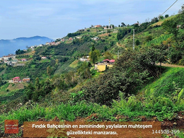 Trabzon Vakfıkebir DenizYakın 3Kat %25İmar ResmiYol Köyİçi Elk+Su 1544m2 Manzara ÇokUygun Açıklamada - Görsel 19