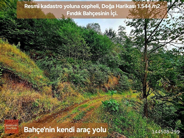 Trabzon Vakfıkebir DenizYakın 3Kat %25İmar ResmiYol Köyİçi Elk+Su 1544m2 Manzara ÇokUygun Açıklamada - Görsel 22