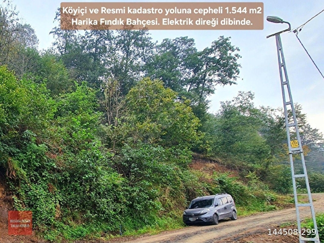 Trabzon Vakfıkebir DenizYakın 3Kat %25İmar ResmiYol Köyİçi Elk+Su 1544m2 Manzara ÇokUygun Açıklamada - Görsel 27
