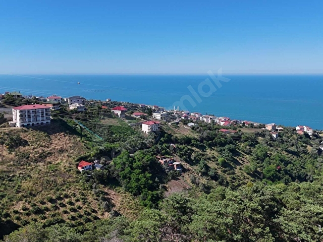 AKÇAABAT ORTA MAH. 4065 m2 ŞEHİR ,DOĞA , DENİZ MANZARALI ARSA - Görsel 8