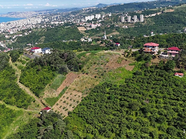 AKÇAABAT ORTA MAH. 4065 m2 ŞEHİR ,DOĞA , DENİZ MANZARALI ARSA - Görsel 12