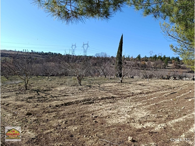 GÜLNAR YASSIBAĞ MAHALLESİNDE SATILIK 5302 M2 BAHÇE - Görsel 7