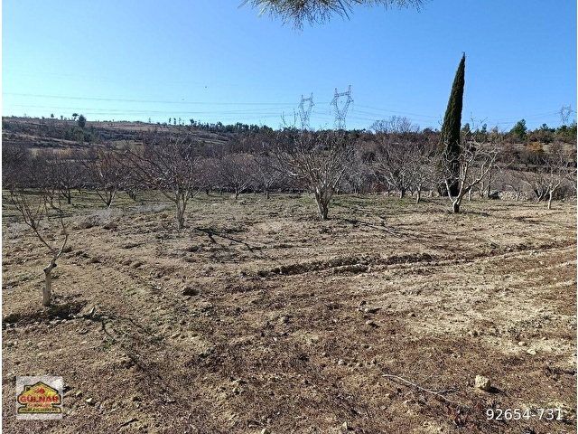 GÜLNAR YASSIBAĞ MAHALLESİNDE SATILIK 5302 M2 BAHÇE - Görsel 13