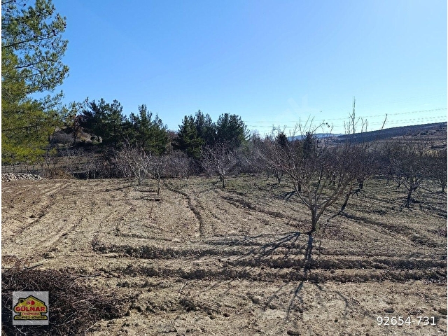 GÜLNAR YASSIBAĞ MAHALLESİNDE SATILIK 5302 M2 BAHÇE - Görsel 19