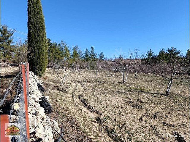 GÜLNAR YASSIBAĞ MAHALLESİNDE SATILIK 5302 M2 BAHÇE - Görsel 10