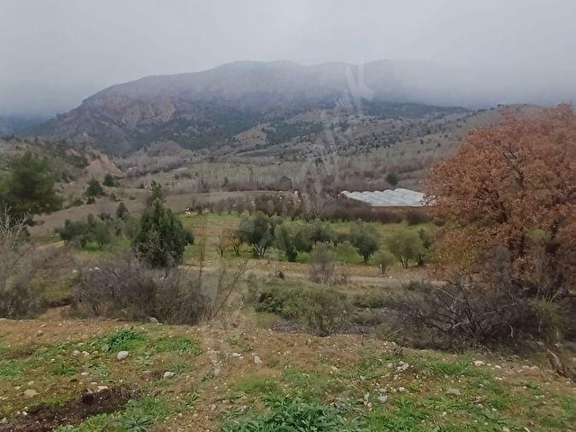 BİLECİK SÖGÜT YAKACIKTA İKİ ADET ARSA - Görsel 11