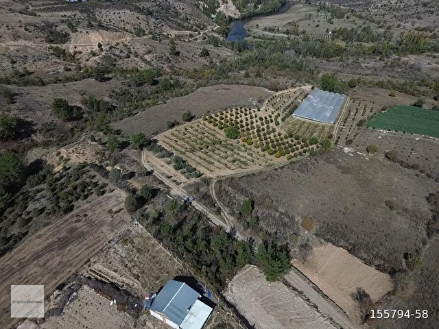BİLECİK SÖGÜT YAKACIKTA İKİ ADET ARSA - Görsel 3