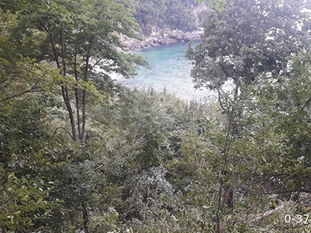 DENIZE SIFIR (LEB-I DERYA) ARSA - Görsel 6
