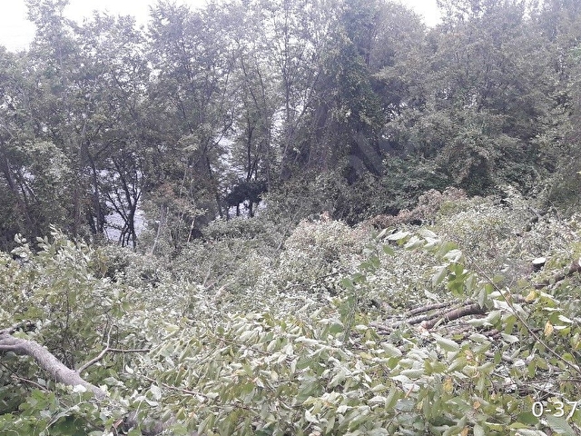 DENIZE SIFIR (LEB-I DERYA) ARSA - Görsel 9
