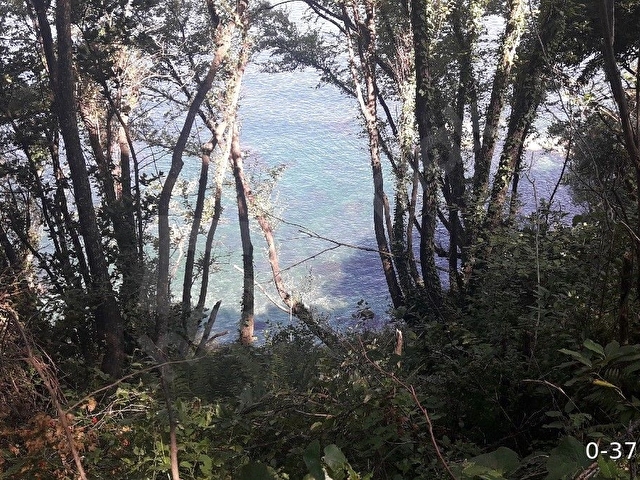 DENIZE SIFIR (LEB-I DERYA) ARSA - Görsel 7