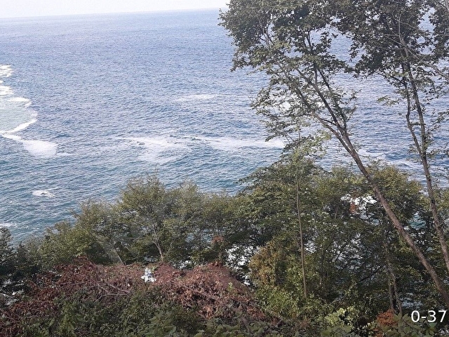 DENIZE SIFIR (LEB-I DERYA) ARSA - Görsel 14
