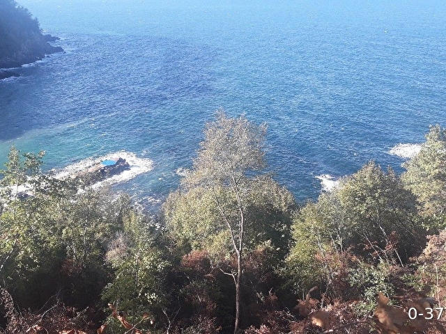 DENIZE SIFIR (LEB-I DERYA) ARSA - Görsel 22
