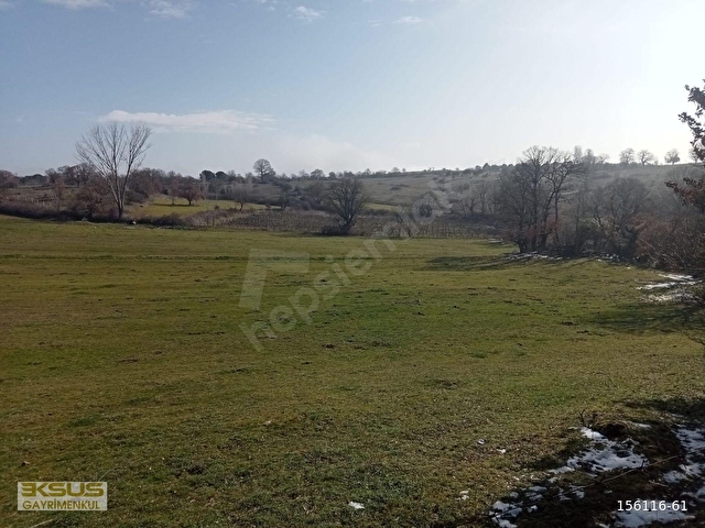 BALIKESİR BALYA ÇUKURÇAK MAH. SATILIK TARLA - Görsel 3