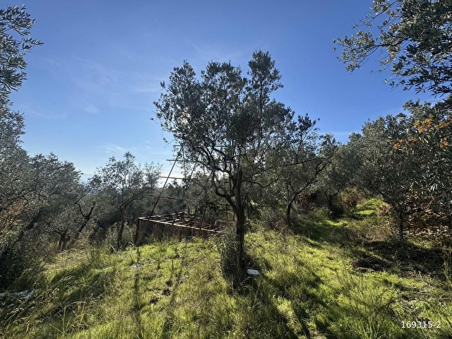 1.538 m2 full deniz manzaralı Armutlu Hastanesine Komşu