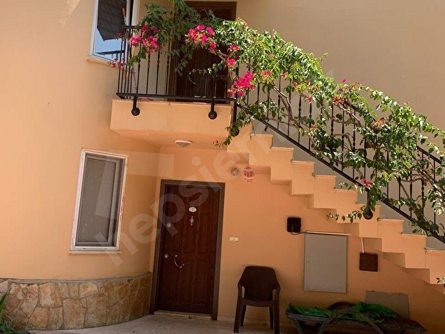 Villa 1+1 Ful Eşyalı - Görsel 13