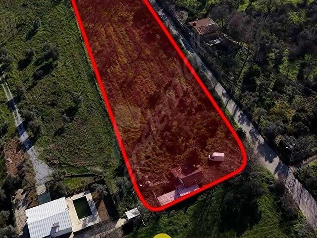 Aydın İmamköyde Satılık 6.5 dönüm Bahçe