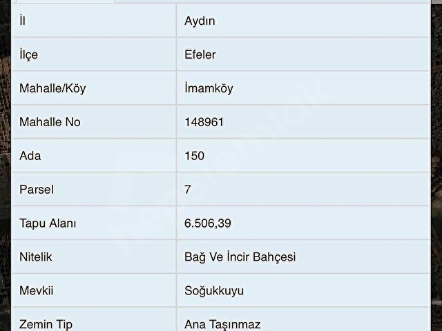 Aydın İmamköyde Satılık 6.5 dönüm Bahçe - Görsel 11