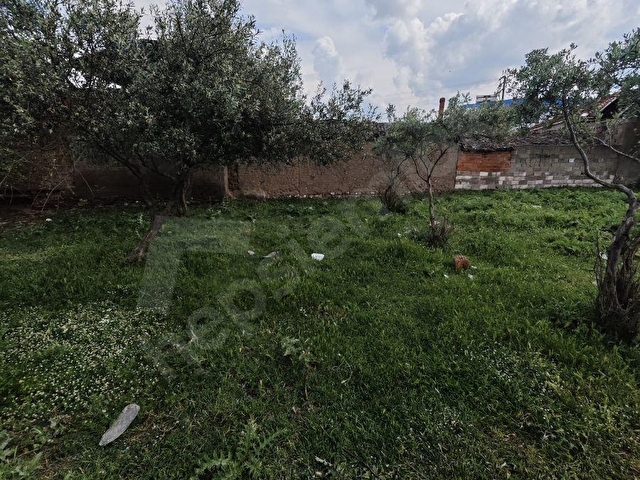 Urganlı mahallesinde satılık fırsat arsa - Görsel 5