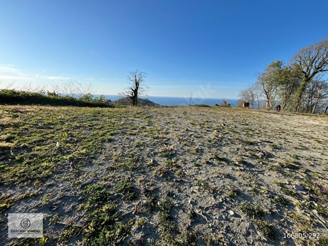 GÜRSOY DAN DENİZ MANZARALI ARSA - Görsel 3
