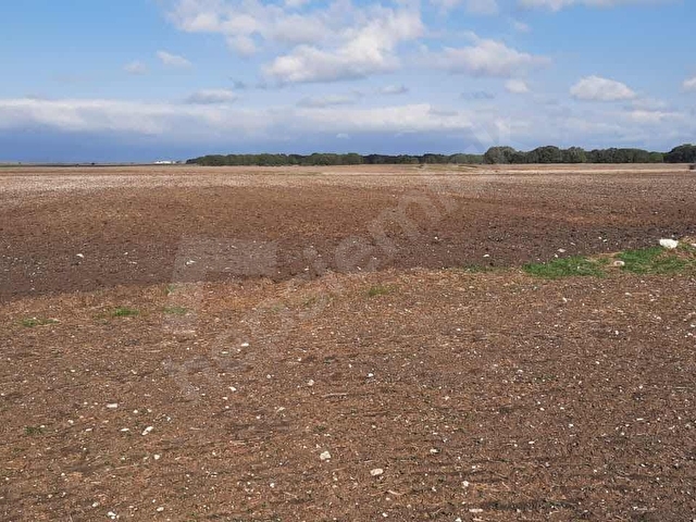 AKINLAR İNŞAAT TAN SATILIK TAPU ALANI 13 085 m2 Tek Tapu - Görsel 11