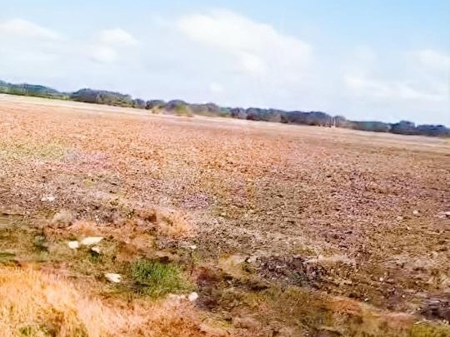 AKINLAR İNŞAAT TAN SATILIK TAPU ALANI 13 085 m2 Tek Tapu - Görsel 6