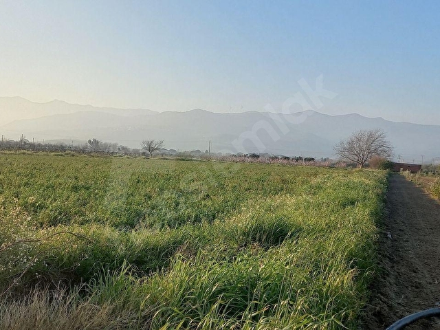 Okkalı Emlak tan Menemen Emiralem de Satılık Tarla - Görsel 4