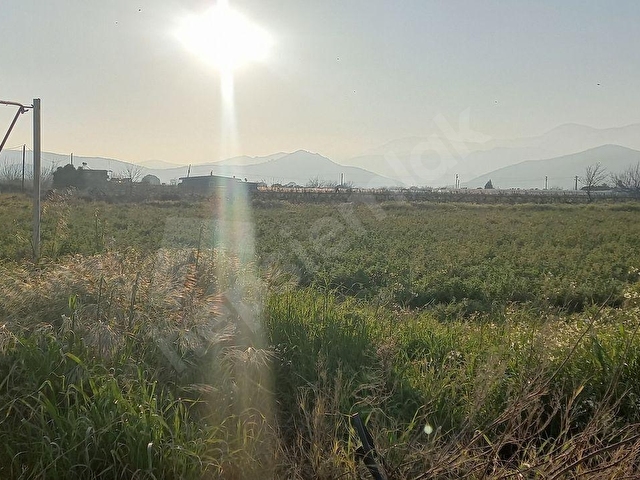 Okkalı Emlak tan Menemen Emiralem de Satılık Tarla - Görsel 5