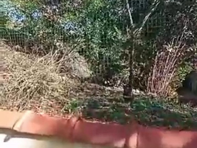 SARIYER BÜYÜKDERE İSPANYA MEVKİ 110 M2 ARSA - Görsel 8