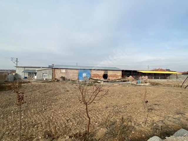 ziraat bankasi ndan yenicekaya mah 325