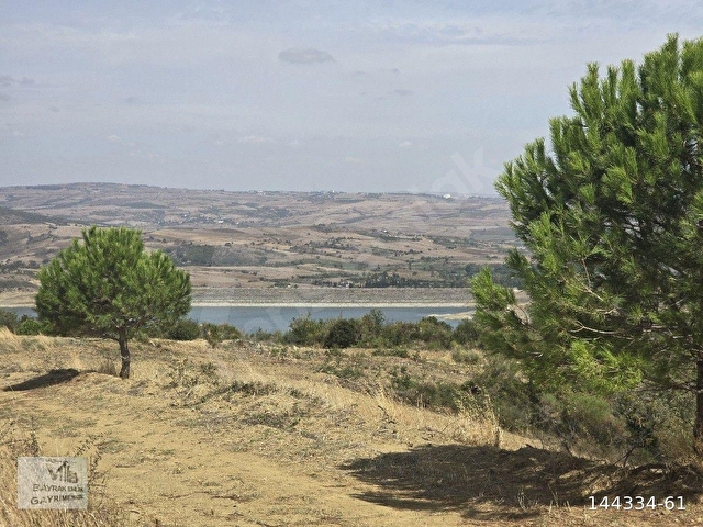 Tekirdağ süleymanpaşa yeniköy satılık tek tapu 453m2 - Görsel 2