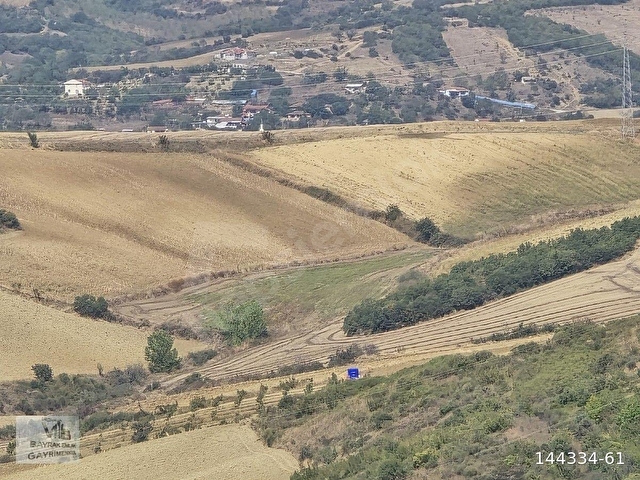 Tekirdağ süleymanpaşa yeniköy satılık tek tapu 453m2 - Görsel 12