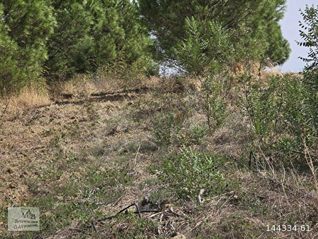 Tekirdağ süleymanpaşa yeniköy satılık tek tapu 453m2 - Görsel 18