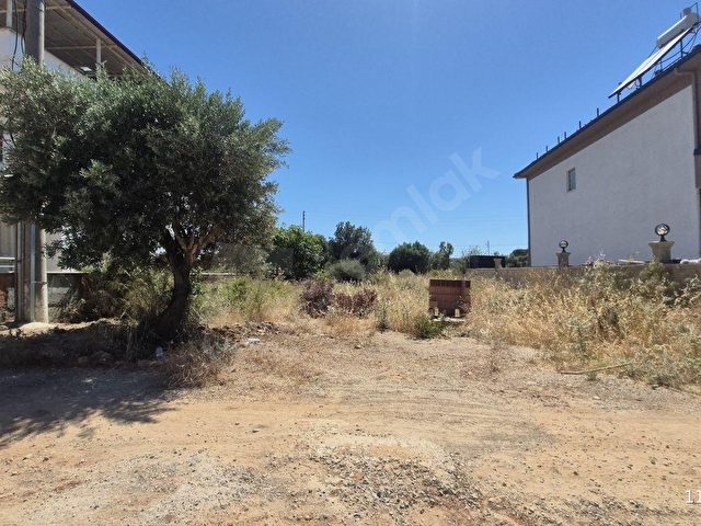 Didim Fevzipaşa YENİ ÜMİTLER Satılık Tam Müstakil Villa Arsası - Görsel 2