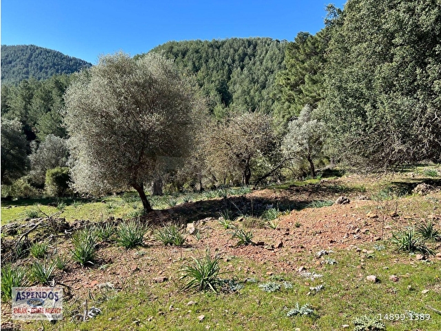 Gökbelde Doğa Ve Orman İçerisinde Satılık Tarla - Görsel 22